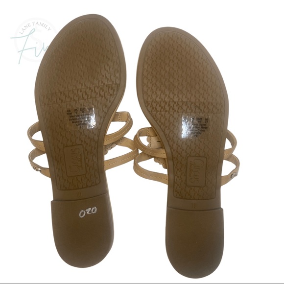 Circus - NY - Canyon Thong Sandal - Picture 3 of 3